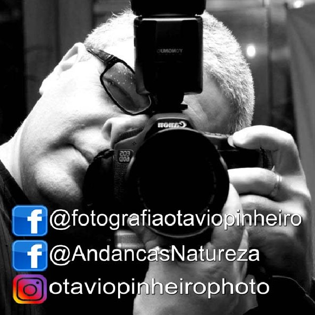 Cobertura em fotografia e video