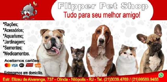 Foto 1 - Flipper pet shop em nilópolis - rj