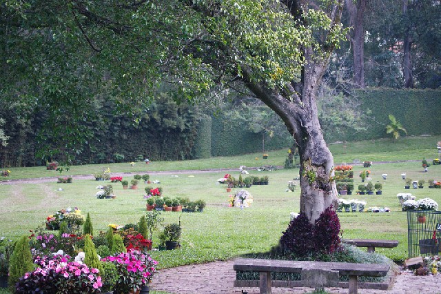 Foto 1 - Cemitério do morumby em são paulo